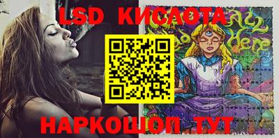 PSILOCYBIN Бийск