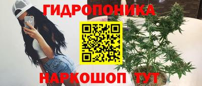 шишки Берёзовский