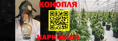 шишки Берёзовский